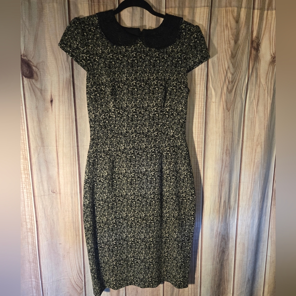 Betsy Johnson Bodycon Collar Dress